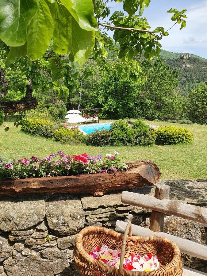Mas Des Terrasses Villa Aujac  Екстериор снимка